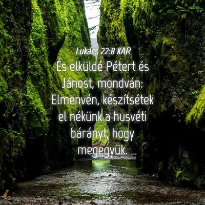 Picture 04 - Lukács 22:8 KAR - És elküldé Pétert és Jánost, mondván: - Bible Verse Picture