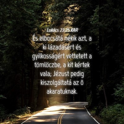 Picture 04 - Lukács 23:25 KAR - És elbocsátá nékik azt, a ki lázadásért - Bible Verse Picture