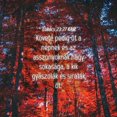 Picture 04 - Lukács 23:27 KAR - Követé pedig õt a népnek és az asszonyoknak - Bible Verse Picture
