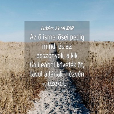 Picture 04 - Lukács 23:49 KAR - Az õ ismerõsei pedig mind, és az asszonyok, a - Bible Verse Picture