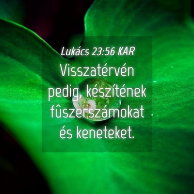 Picture 04 - Lukács 23:56 KAR - Visszatérvén pedig, készítének - Bible Verse Picture