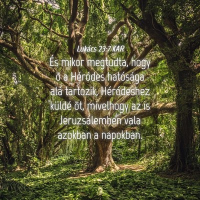 Picture 04 - Lukács 23:7 KAR - És mikor megtudta, hogy õ a Héródes - Bible Verse Picture