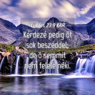 Picture 04 - Lukács 23:9 KAR - Kérdezé pedig õt sok beszéddel; de õ semmit - Bible Verse Picture