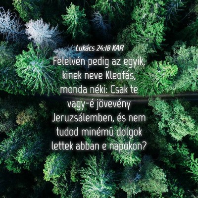 Picture 04 - Lukács 24:18 KAR - Felelvén pedig az egyik, kinek neve Kleofás, - Bible Verse Picture