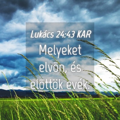 Picture 04 - Lukács 24:43 KAR - Melyeket elvõn, és elõttök - Bible Verse Picture