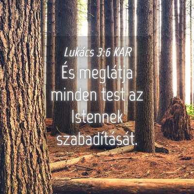 Picture 04 - Lukács 3:6 KAR - És meglátja minden test az Istennek - Bible Verse Picture