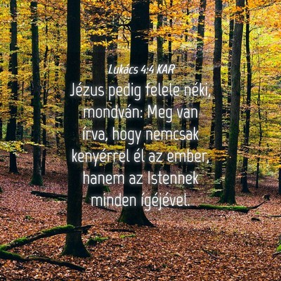 Picture 04 - Lukács 4:4 KAR - Jézus pedig felele néki, mondván: Meg van - Bible Verse Picture
