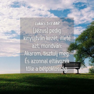 Picture 04 - Lukács 5:13 KAR - [Jézus] pedig kinyújtván kezét, illeté azt, - Bible Verse Picture