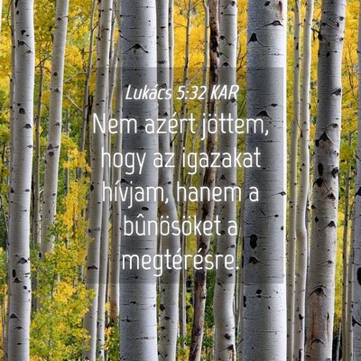 Picture 04 - Lukács 5:32 KAR - Nem azért jöttem, hogy az igazakat hívjam, - Bible Verse Picture