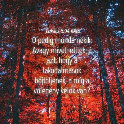 Picture 04 - Lukács 5:34 KAR - Õ pedig monda nékik: Avagy mívelhetitek-é - Bible Verse Picture