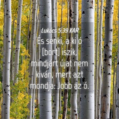 Picture 04 - Lukács 5:39 KAR - És senki, a ki ó [bort] iszik, mindjárt újat - Bible Verse Picture