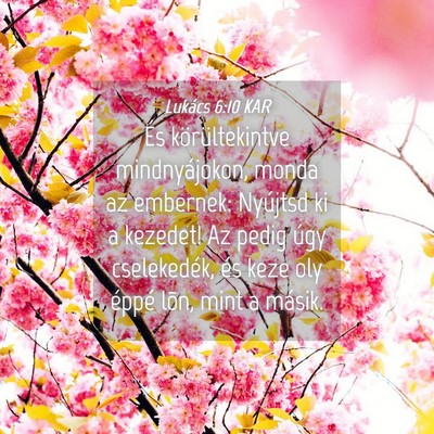 Picture 04 - Lukács 6:10 KAR - És körültekintve mindnyájokon, monda az - Bible Verse Picture