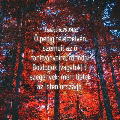 Picture 04 - Lukács 6:20 KAR - Õ pedig felemelvén szemeit az õ - Bible Verse Picture