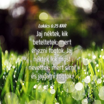 Picture 04 - Lukács 6:25 KAR - Jaj néktek, kik beteltetek; mert éhezni fogtok. - Bible Verse Picture