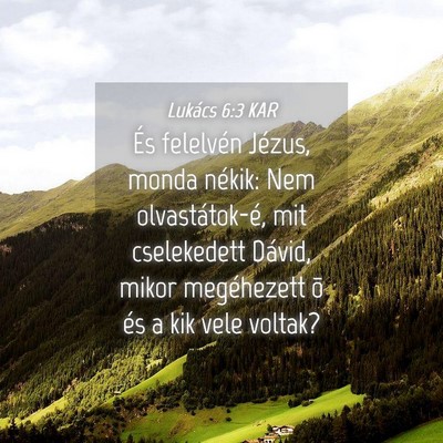 Picture 04 - Lukács 6:3 KAR - És felelvén Jézus, monda nékik: Nem - Bible Verse Picture