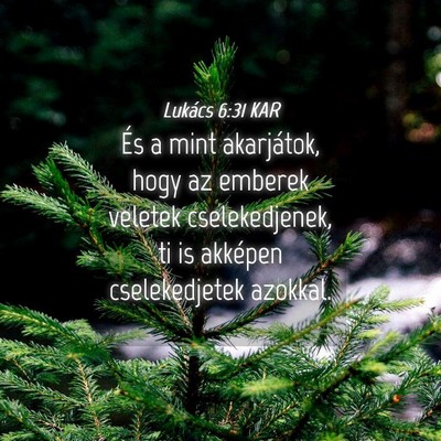 Picture 04 - Lukács 6:31 KAR - És a mint akarjátok, hogy az emberek veletek - Bible Verse Picture