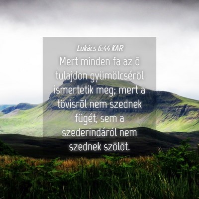 Picture 04 - Lukács 6:44 KAR - Mert minden fa az õ tulajdon gyümölcsérõl - Bible Verse Picture