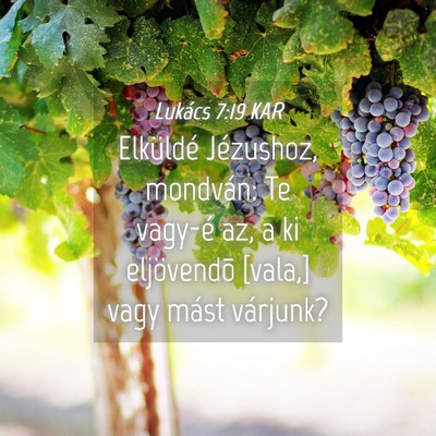 Picture 04 - Lukács 7:19 KAR - Elküldé Jézushoz, mondván: Te vagy-é az, a - Bible Verse Picture