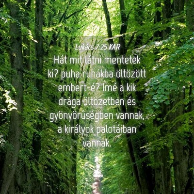 Picture 04 - Lukács 7:25 KAR - Hát mit látni mentetek ki? puha ruhákba - Bible Verse Picture