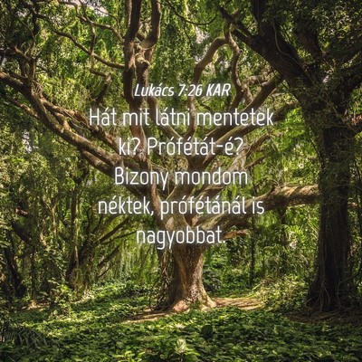 Picture 04 - Lukács 7:26 KAR - Hát mit látni mentetek ki? Prófétát-é? - Bible Verse Picture