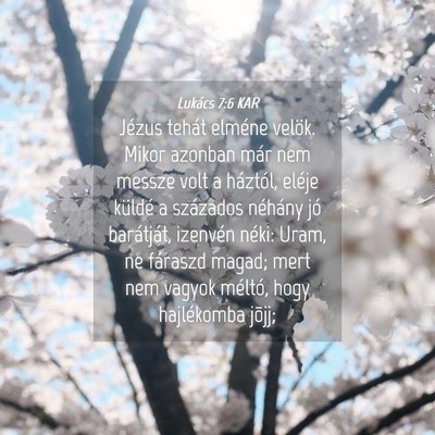 Picture 04 - Lukács 7:6 KAR - Jézus tehát elméne velök. Mikor azonban már - Bible Verse Picture