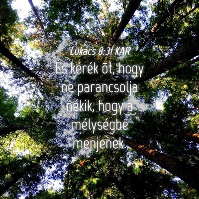 Picture 04 - Lukács 8:31 KAR - És kérék õt, hogy ne parancsolja nékik, hogy - Bible Verse Picture