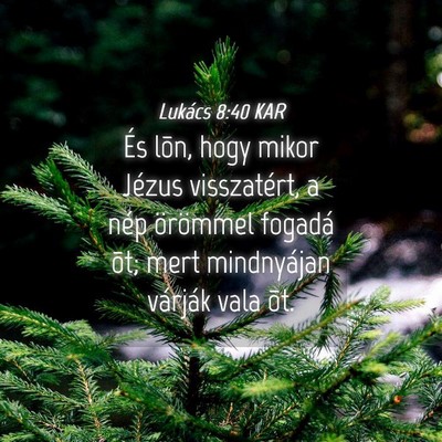 Picture 04 - Lukács 8:40 KAR - És lõn, hogy mikor Jézus visszatért, a nép - Bible Verse Picture