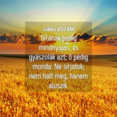 Picture 04 - Lukács 8:52 KAR - Sírának pedig mindnyájan, és gyászolák azt; - Bible Verse Picture