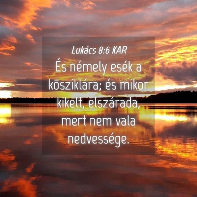Picture 04 - Lukács 8:6 KAR - És némely esék a kõsziklára; és mikor - Bible Verse Picture