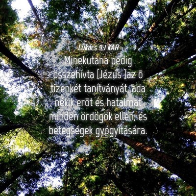 Picture 04 - Lukács 9:1 KAR - Minekutána pedig összehívta [Jézus ]az õ - Bible Verse Picture