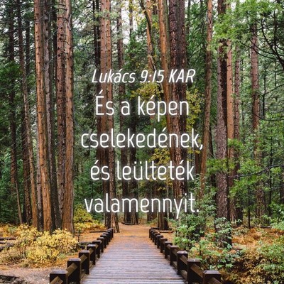 Picture 04 - Lukács 9:15 KAR - És a képen cselekedének, és leülteték - Bible Verse Picture