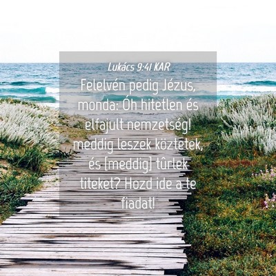 Picture 04 - Lukács 9:41 KAR - Felelvén pedig Jézus, monda: Óh hitetlen és - Bible Verse Picture