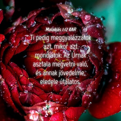 Picture 04 - Malakiás 1:12 KAR - Ti pedig meggyalázzátok azt, mikor azt - Bible Verse Picture
