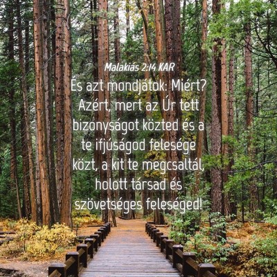 Picture 04 - Malakiás 2:14 KAR - És azt mondjátok: Miért? Azért, mert az Úr - Bible Verse Picture