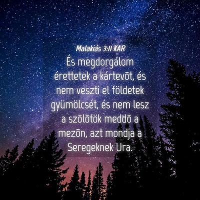 Picture 04 - Malakiás 3:11 KAR - És megdorgálom érettetek a kártevõt, és nem - Bible Verse Picture