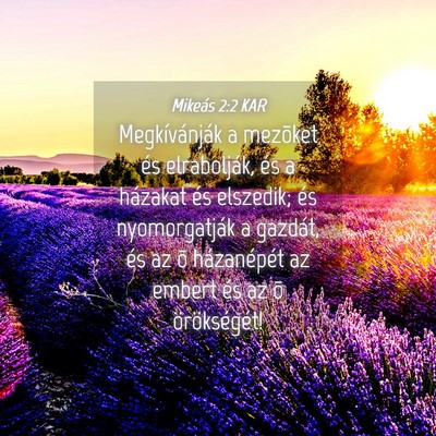 Picture 04 - Mikeás 2:2 KAR - Megkívánják a mezõket és elrabolják, és a - Bible Verse Picture