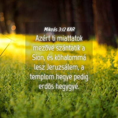 Picture 04 - Mikeás 3:12 KAR - Azért ti miattatok mezõvé szántatik a Sion, - Bible Verse Picture