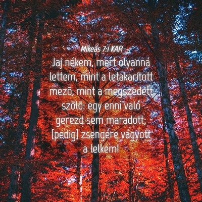 Picture 04 - Mikeás 7:1 KAR - Jaj nékem, mert olyanná lettem, mint a - Bible Verse Picture