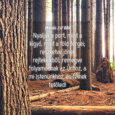 Picture 04 - Mikeás 7:17 KAR - Nyalják a port, mint a kígyó, mint a föld - Bible Verse Picture