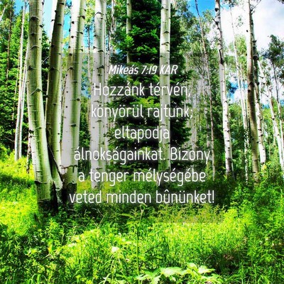 Picture 04 - Mikeás 7:19 KAR - Hozzánk térvén, könyörül rajtunk; eltapodja - Bible Verse Picture