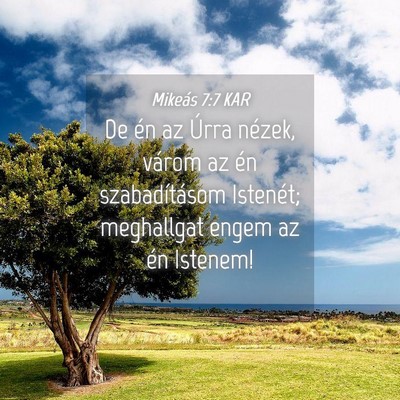 Picture 04 - Mikeás 7:7 KAR - De én az Úrra nézek, várom az én - Bible Verse Picture
