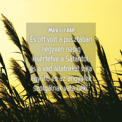 Picture 04 - Márk 1:13 KAR - És ott volt a pusztában negyven napig - Bible Verse Picture