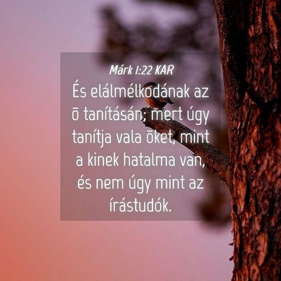 Picture 04 - Márk 1:22 KAR - És elálmélkodának az õ tanításán; mert - Bible Verse Picture