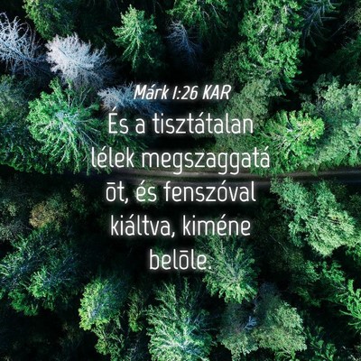 Picture 04 - Márk 1:26 KAR - És a tisztátalan lélek megszaggatá õt, és - Bible Verse Picture