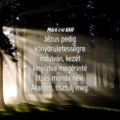 Picture 04 - Márk 1:41 KAR - Jézus pedig könyörületességre indulván, - Bible Verse Picture
