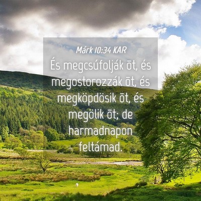 Picture 04 - Márk 10:34 KAR - És megcsúfolják õt, és megostorozzák õt, - Bible Verse Picture