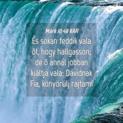 Picture 04 - Márk 10:48 KAR - És sokan feddik vala õt, hogy hallgasson; de õ - Bible Verse Picture