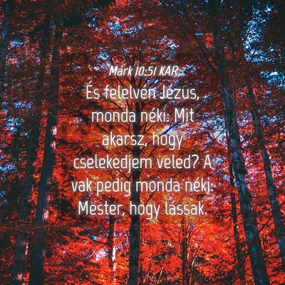 Picture 04 - Márk 10:51 KAR - És felelvén Jézus, monda néki: Mit akarsz, - Bible Verse Picture
