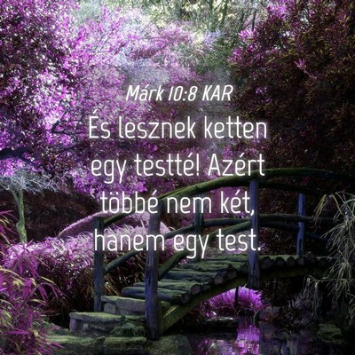 Picture 04 - Márk 10:8 KAR - És lesznek ketten egy testté! Azért többé - Bible Verse Picture