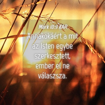 Picture 04 - Márk 10:9 KAR - Annakokáért a mit az Isten egybe szerkesztett, - Bible Verse Picture